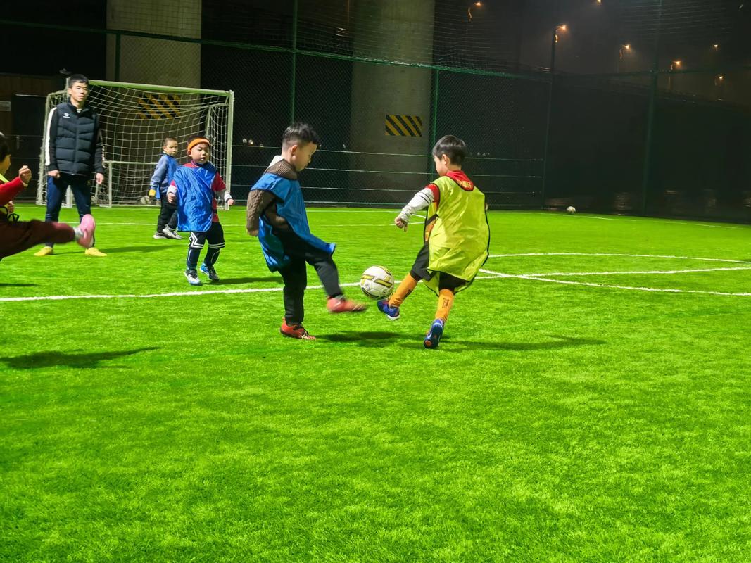 足球几个人踢（足球几个人踢一个队）